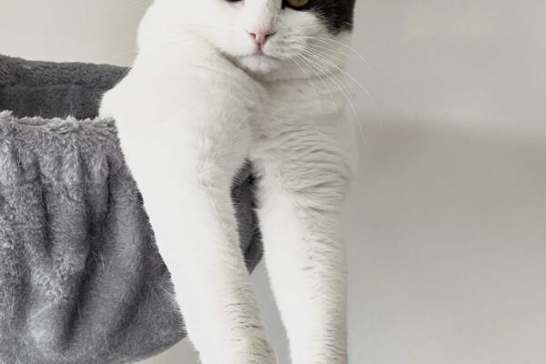 1416c3ad-7367-478b-b9fe-bc20ff5cbbe1