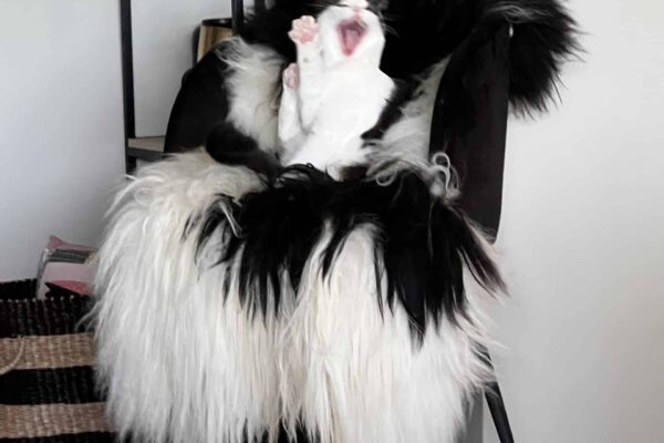 457c118f-8589-4119-bb51-1363303ac3ef