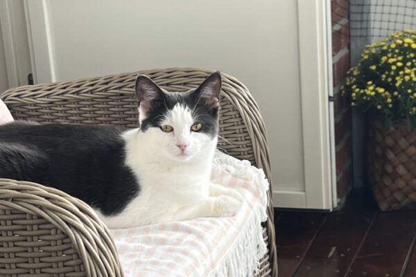 7d9ce230-eb4d-42c5-ba0a-d45a10ff7233